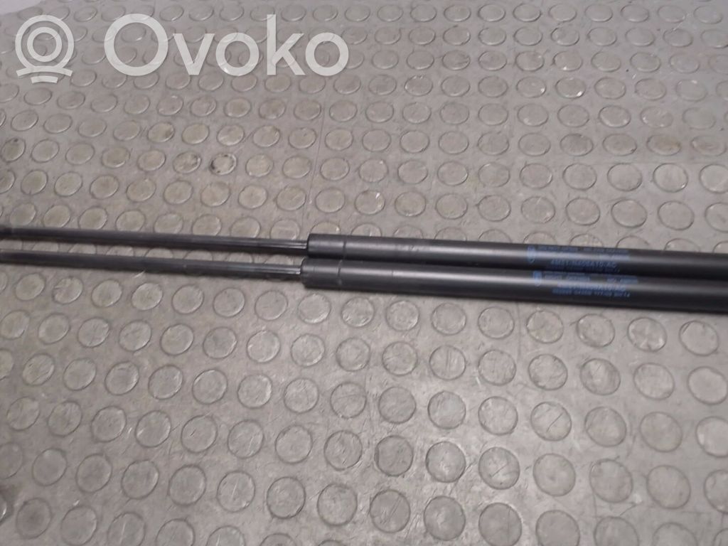 Ford Focus Tailgate/trunk strut/damper 