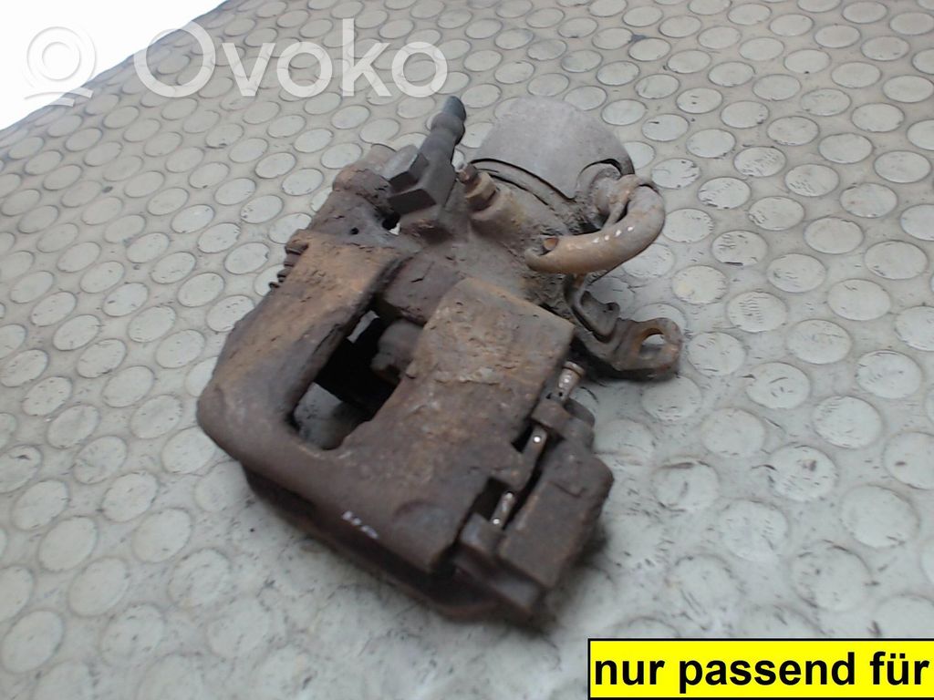 Takajarrusatula   1478336,NICHTZUTREFFEND