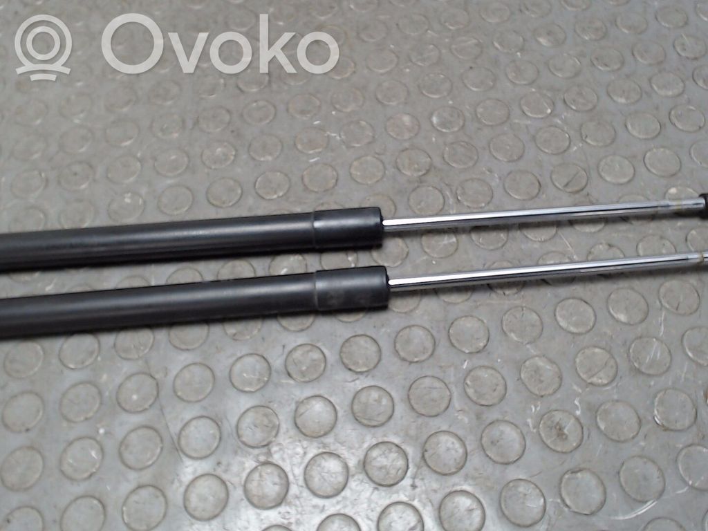 Renault Clio III Amortizor hayon 