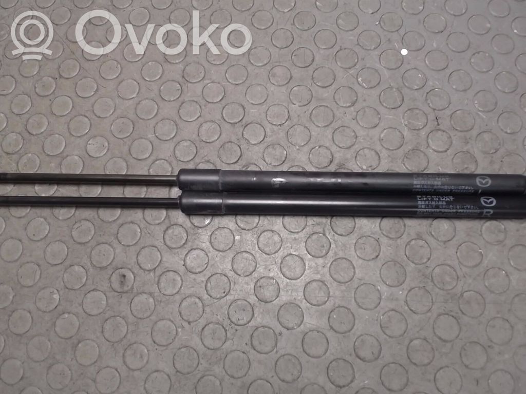 Tailgate/trunk strut/damper   D65163620A,D65163620