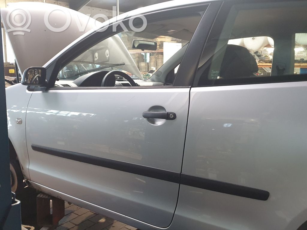 Volkswagen Polo IV 9N3 Ușă față 