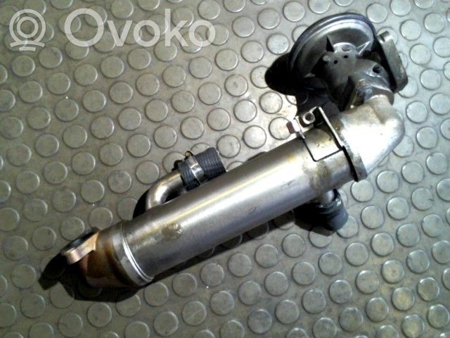 Ford Mondeo Mk III Refrigerador de la válvula EGR 