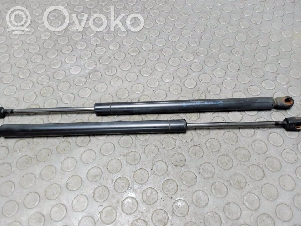 Ford Focus Tailgate/trunk strut/damper 