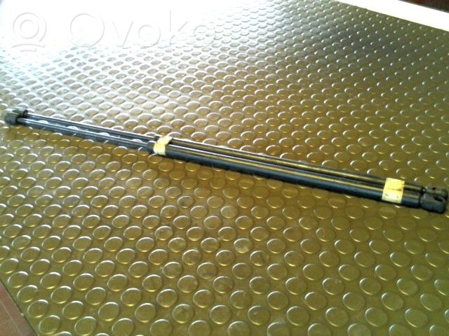 Tailgate/trunk strut/damper
