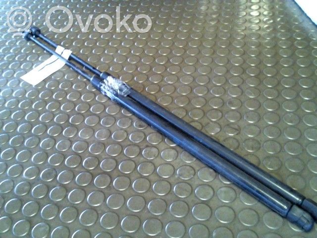 Tailgate/trunk strut/damper