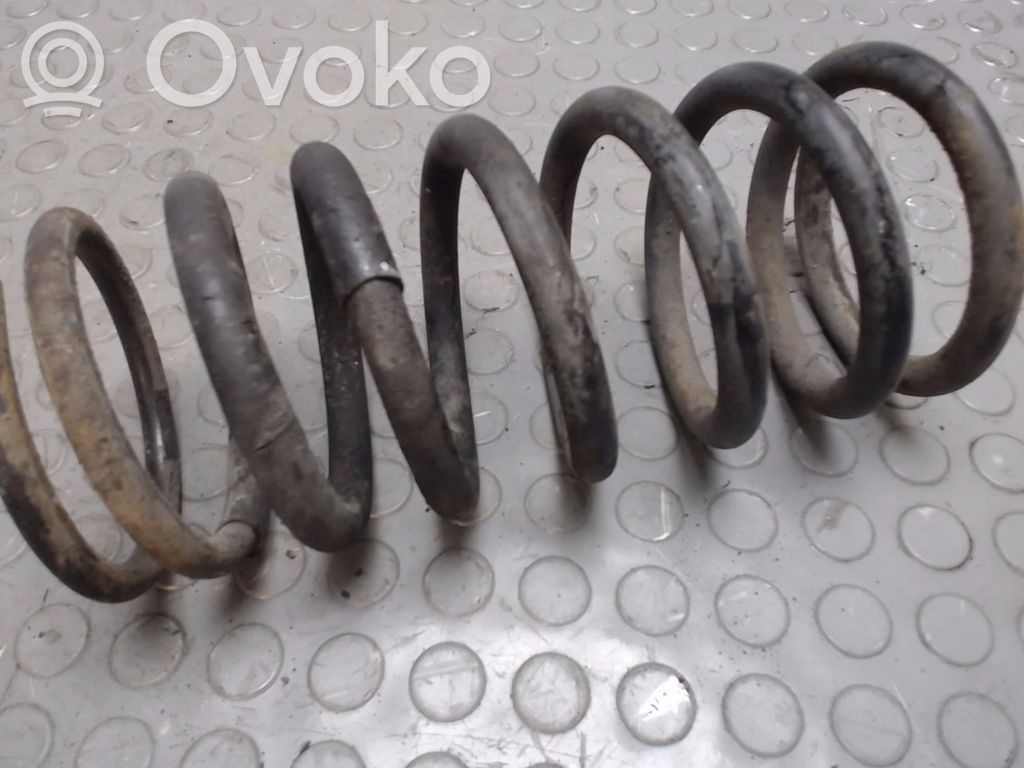 Rear coil spring