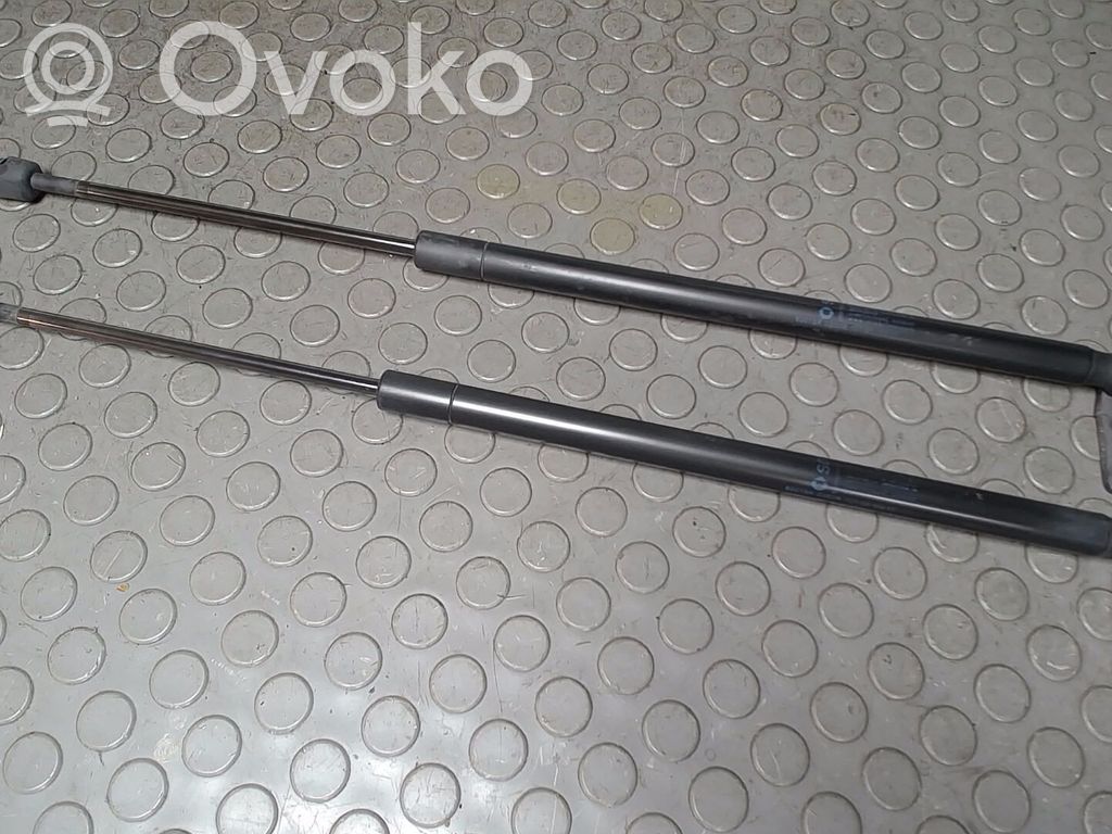 Smart ForFour I Tailgate/trunk strut/damper 