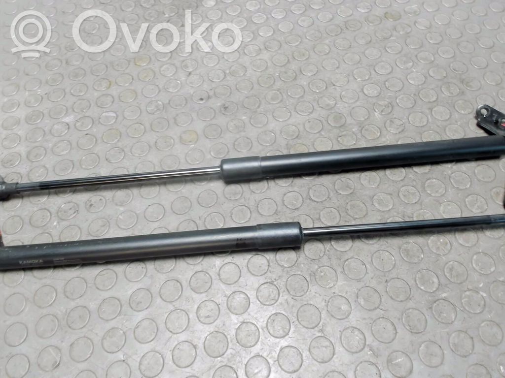 Tailgate/trunk strut/damper   C23563620E,C23563620D