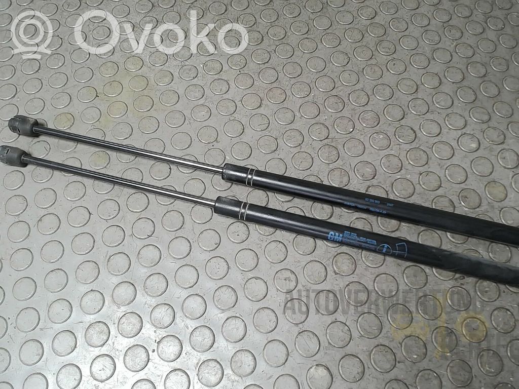 Opel Meriva A Amortizor hayon 