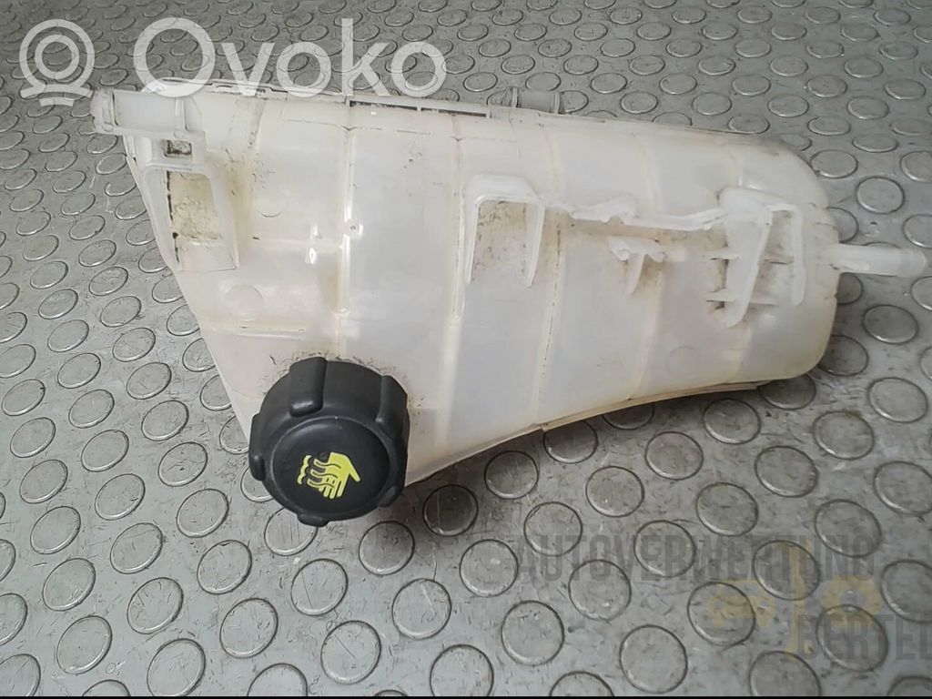 Renault Kangoo II Vas expansiune/rezervor lichid de răcire 