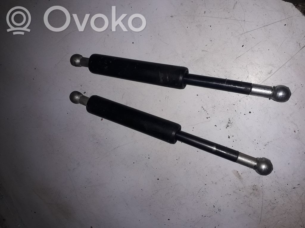 Tailgate/trunk strut/damper   23919