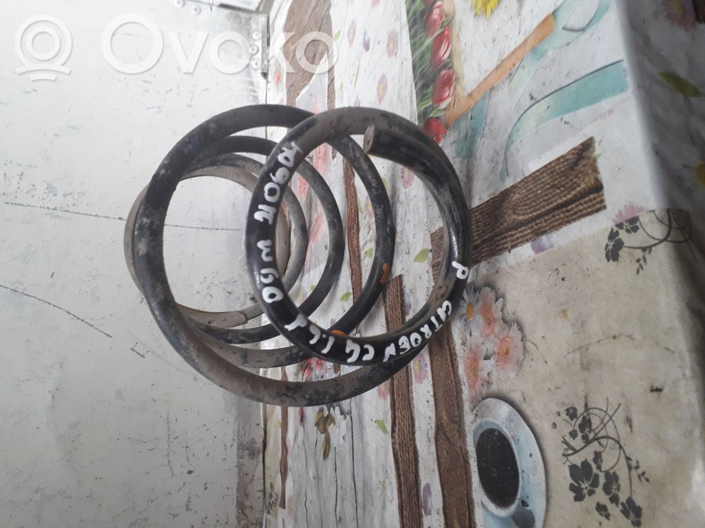 Front coil spring