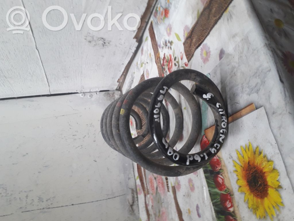 Rear coil spring