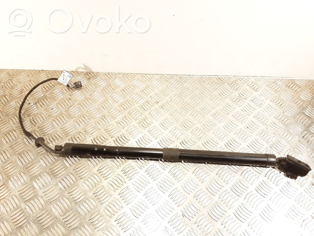 Tailgate strut   31457566