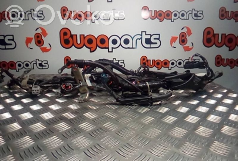 Engine installation wiring loom   821210DB50,828150D100