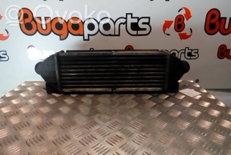 Intercooler radiator   96732,613621,NISSENS