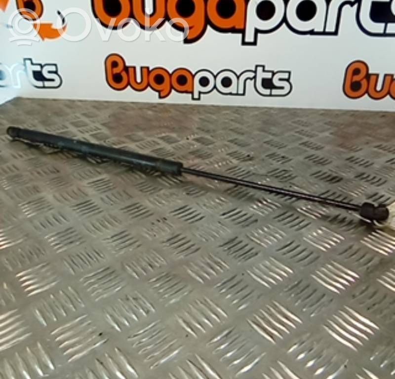 Tailgate/trunk strut/damper