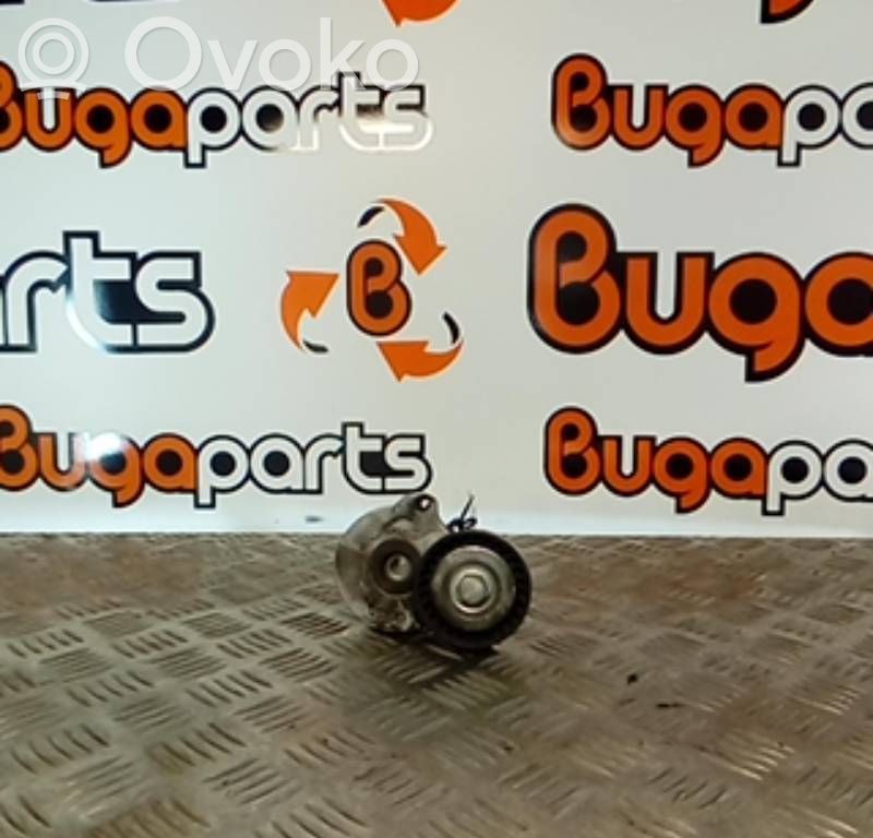 Diržo įtempėjas   888704181,55574238BG,A13DTR,LSF