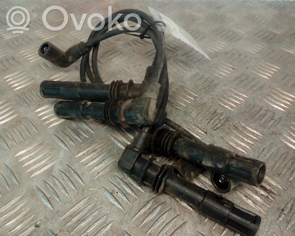 Volkswagen Golf IV Aukštos įtampos ritė "babyna" 