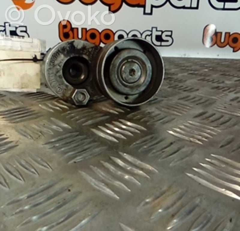 Renault Espace IV Întinzător curea generator/alternator 