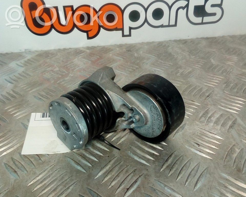 Diržo įtempėjas   117504048R,K9K726