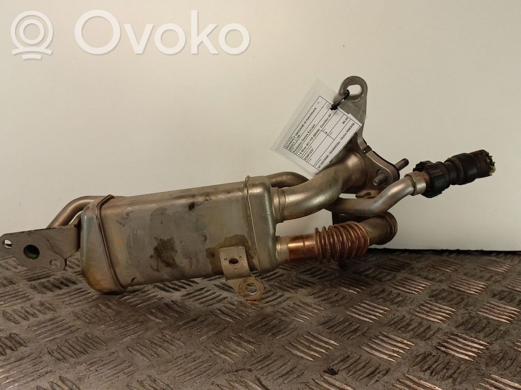 Renault Megane III Valvola di raffreddamento EGR 