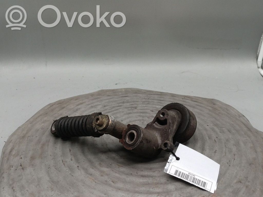 Peugeot 306 Napinacz paska alternatora 