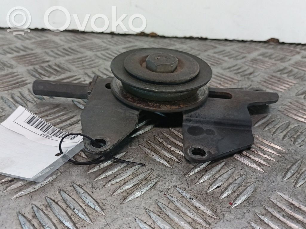 Napinacz paska alternatora   ROLAMENTO,MOTORTD27TI,PASSADOR