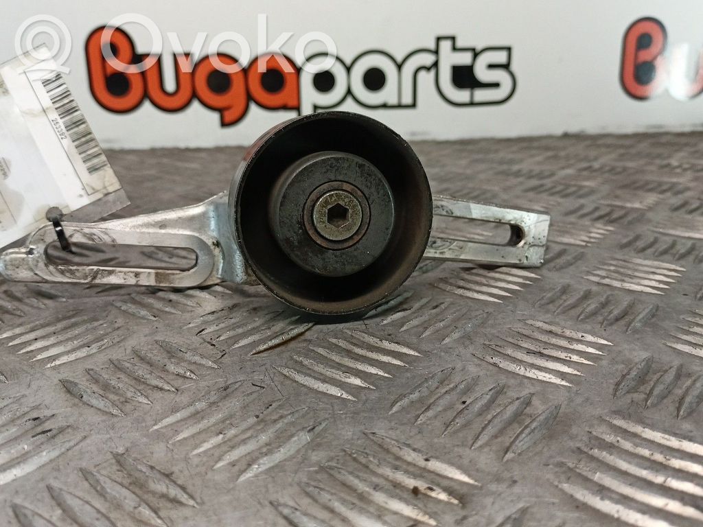 Tensor de correa del alternador   ROLAMENTO,PASSADOR,PEUGEOT30614