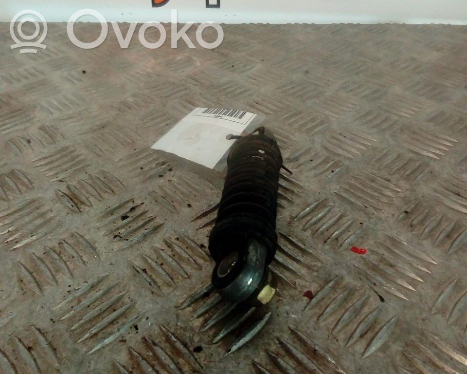 Diržo įtempėjas   19TD,AMORTECEDOR,DHY
