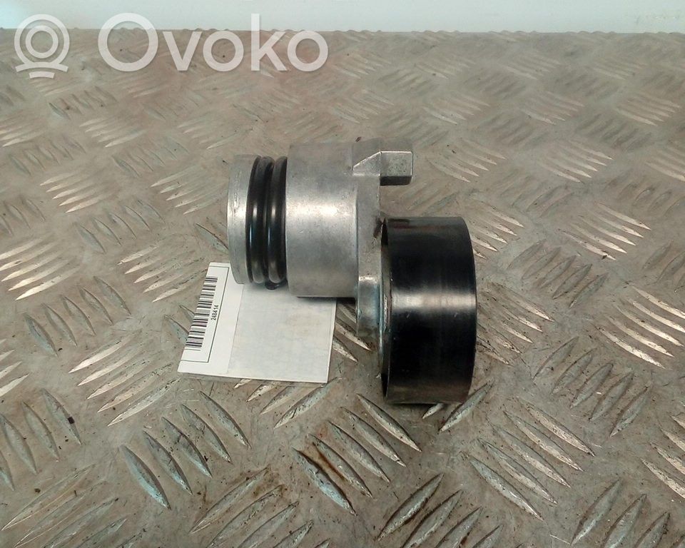 Renault Clio III Tendicinghia generatore/alternatore 