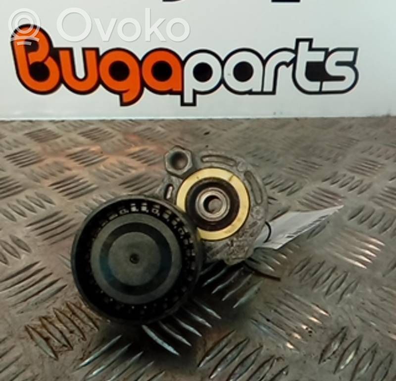 Renault Modus Napinacz paska alternatora 