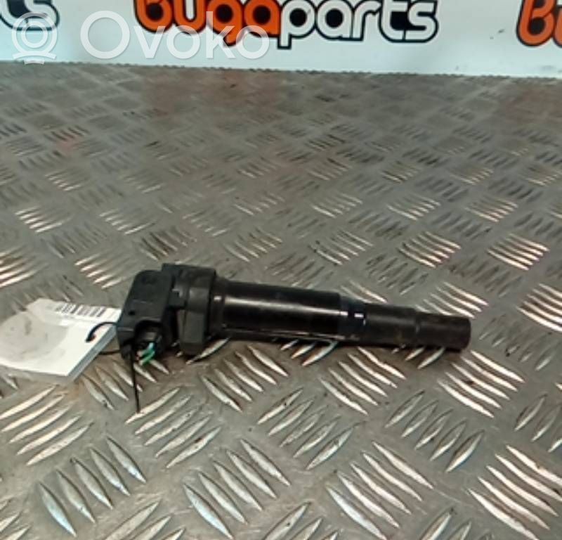 Peugeot 207 Aukštos įtampos ritė "babyna" 