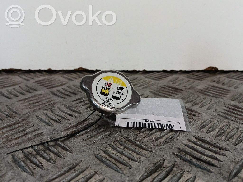 Depósito del refrigerante   FL22,30KPA,MOTORS5