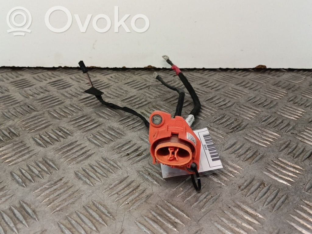 Engine installation wiring loom   296646231R,APEX280