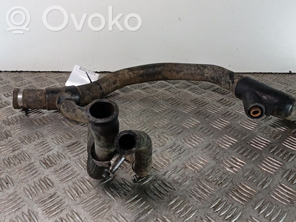 Renault Clio II Aušinimo vamzdelis (-iai)/ žarna (-os) 