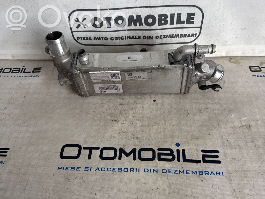 Opel Astra K EGR valve cooler 