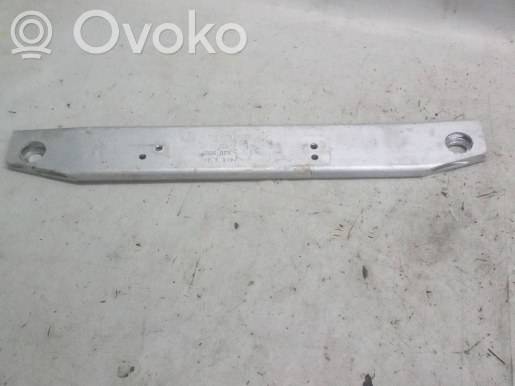 Kita kėbulo dalis   A2056190025,17T319,ZGS005