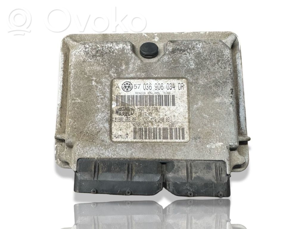Engine control unit/module   036906034DR,B16006660