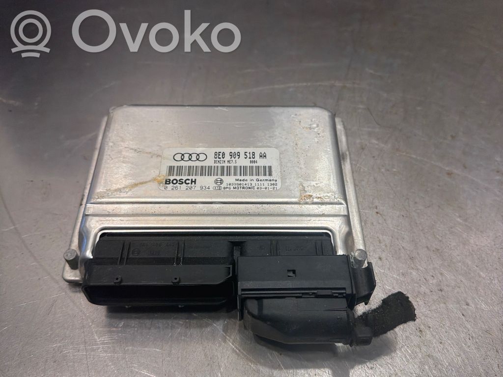 Audi A4 S4 B6 8E 8H Engine control unit/module 