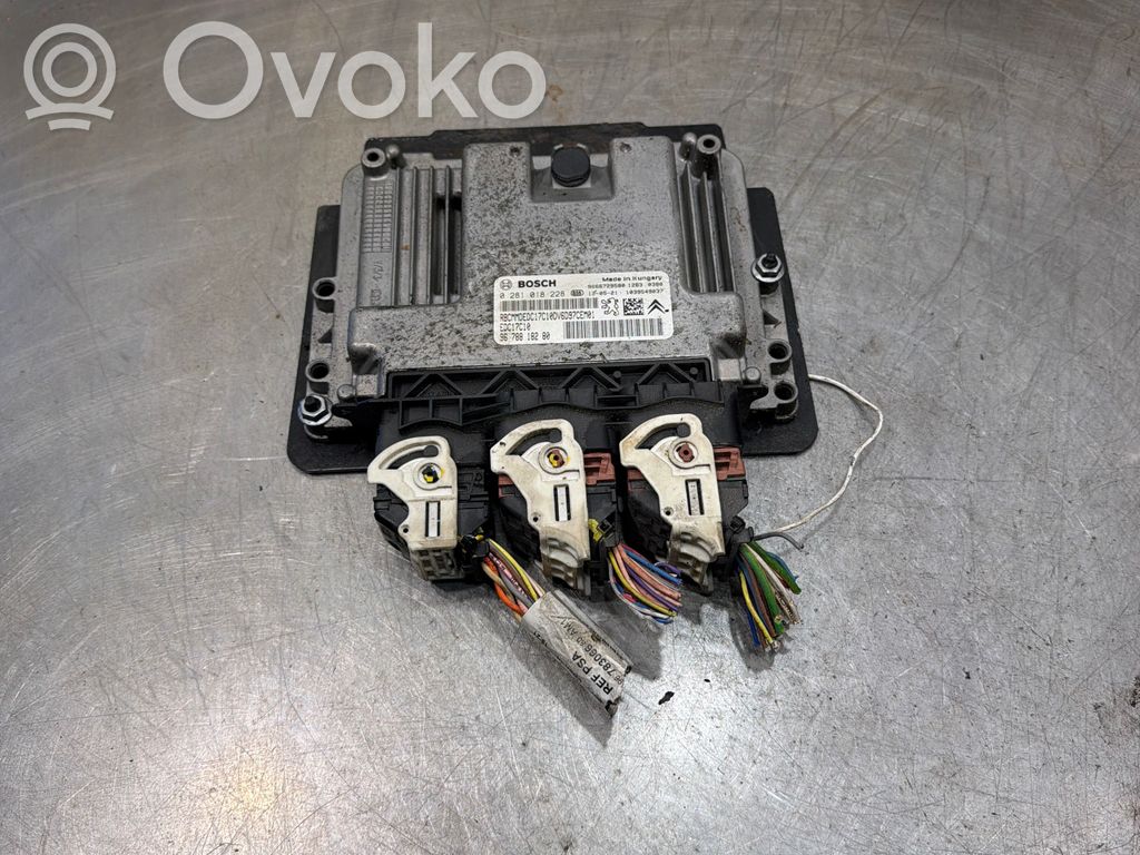 Engine control unit/module   9666729580,0281018228,9678818280