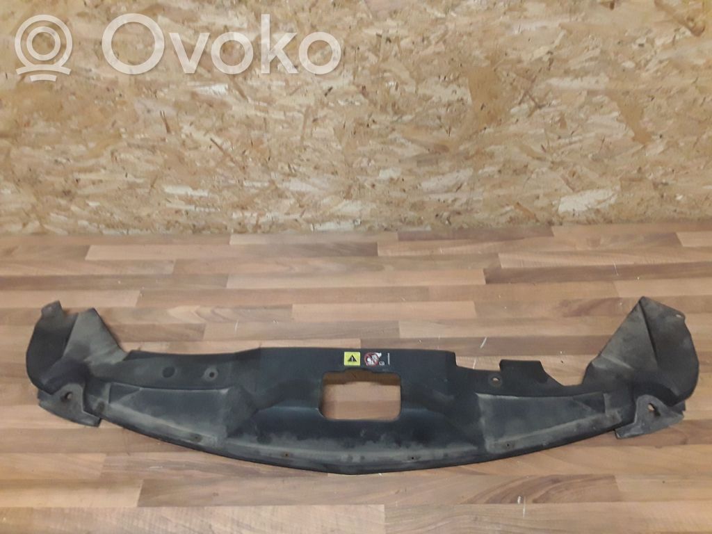 Chrysler Pacifica Radiator trim 