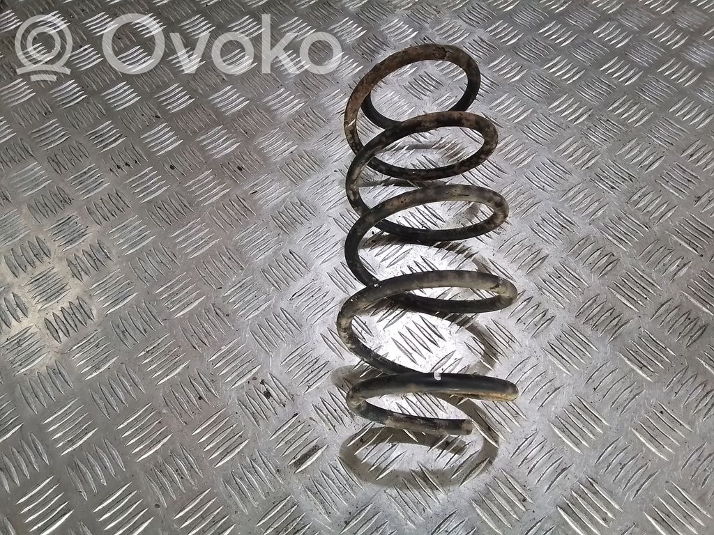Front coil spring