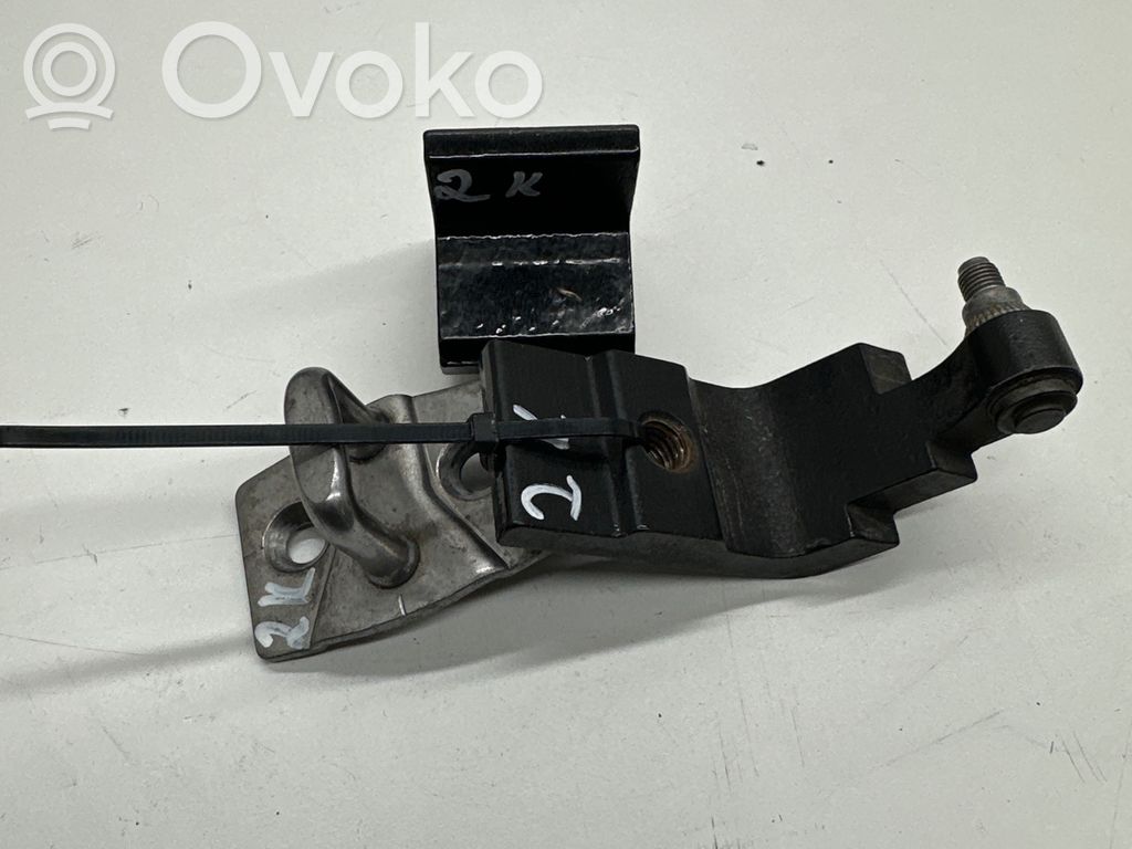 BMW X6 E71 Rear door hinge set 