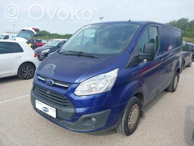 Galinės durys   PBK21V40011EA