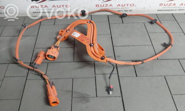 High voltage cable   110900300D