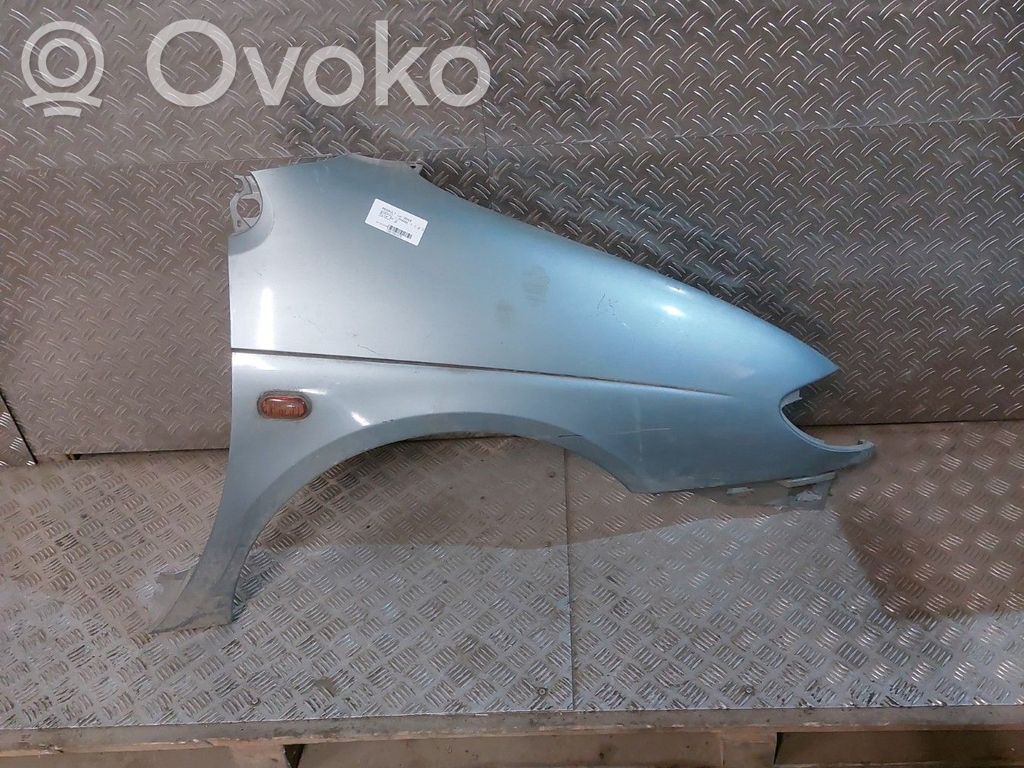 Renault Scenic I Guardabarro 