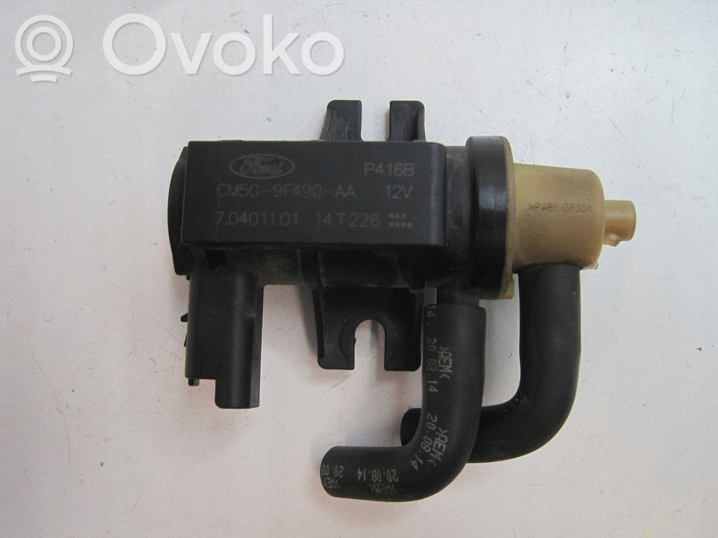 Ford Fiesta Vakuumo vožtuvas 