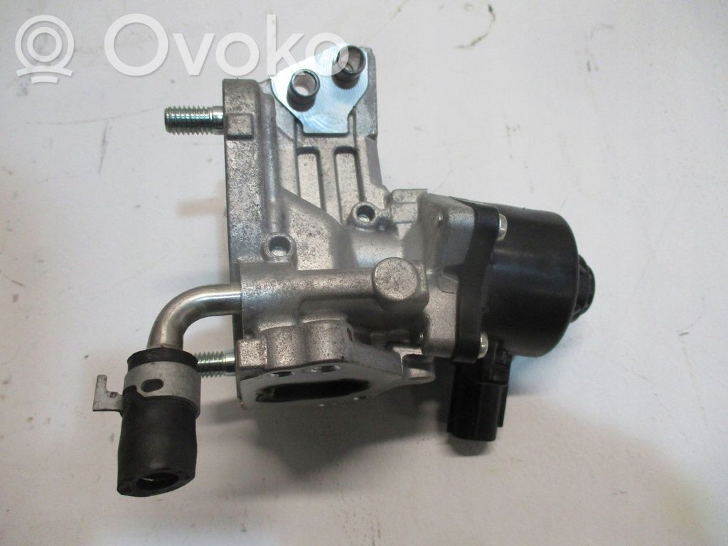 Válvula EGR   2562024650