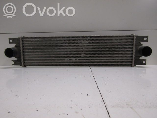 Interkūlerio radiatorius   859923X